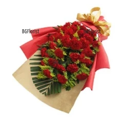 Send bouquet of carnations to Sofia.