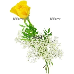 Send one yellow rose