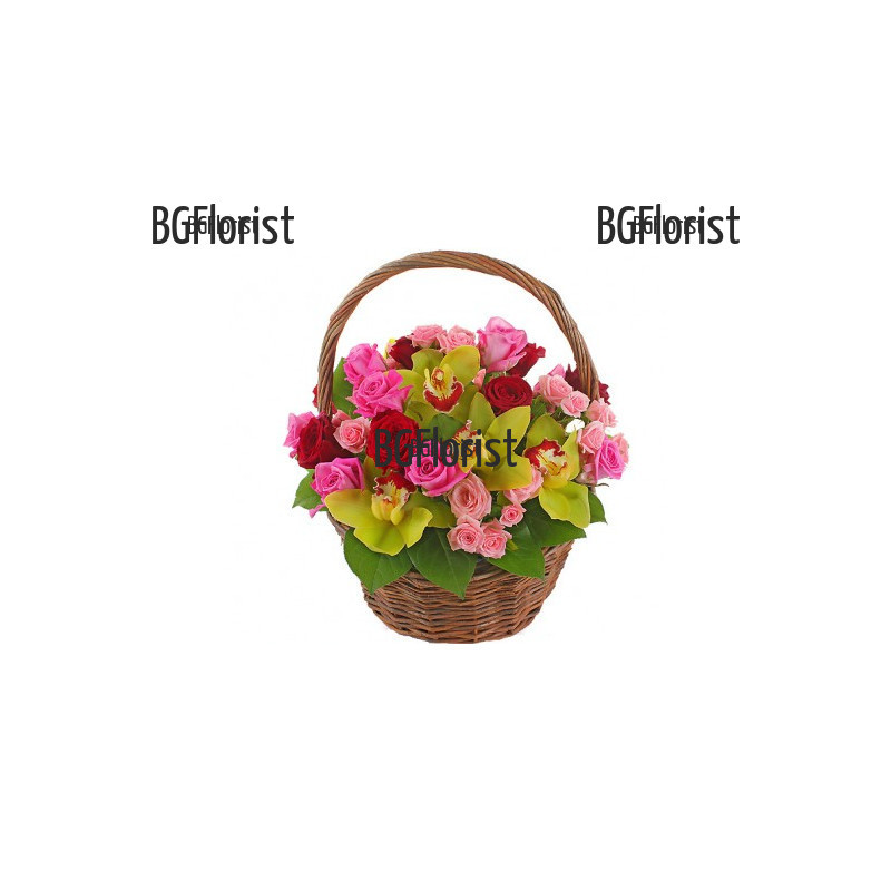 Send basket with orchids and roses to Sofia