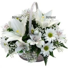 White Embrace - Send basket with white flowers to Sofia