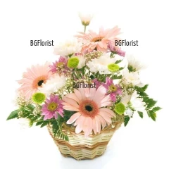 Нежна кошничка, аранжирана с миксови цветя - гербери, хризантеми и свежа зеленина.