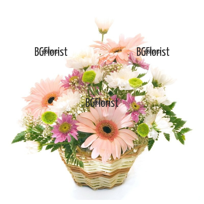 Send basket with autumn flowers to Sofia