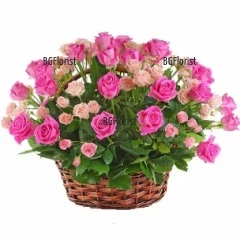 Order basket with pink roses to Sofia