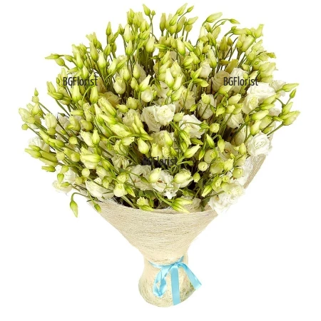 Send bouquet of white lisianthus to Sofia