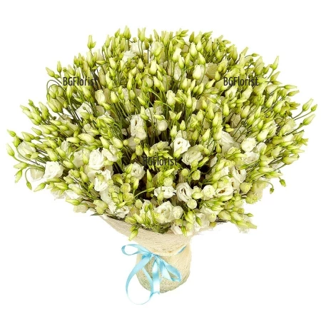Send bouquet of 101 white lisianthus