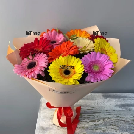 Send bouquet of multicoloured gerberas to Sofia