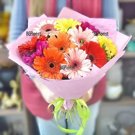 Send bouquet of multicoloured gerberas to Sofia