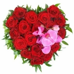 Send heart of roses and orchids to Plovdiv