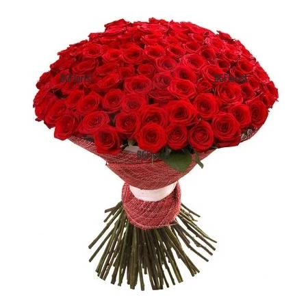 Order bouquet of 101 red roses to Sofia