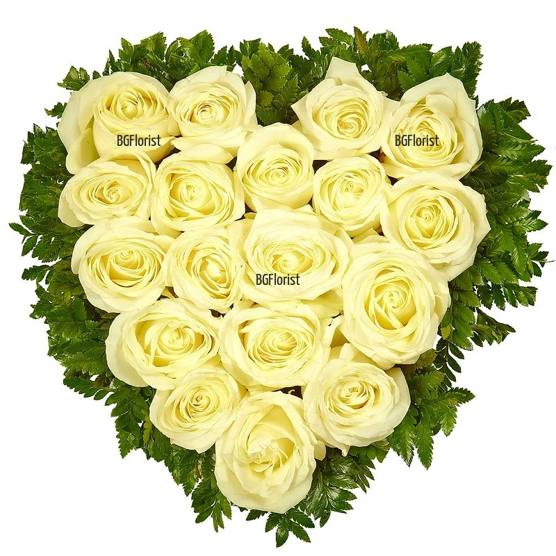 Доставка на сърце от бели еквадорски рози с куриер
