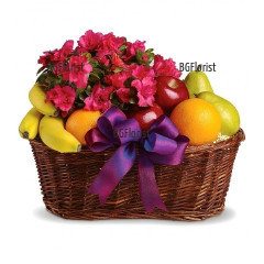 Basket, arranged with pink Azalea pot plant and fruits.