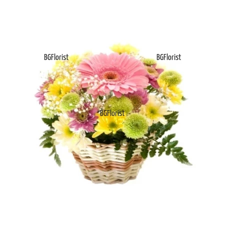Send a basket with flowers by courier to Sofia