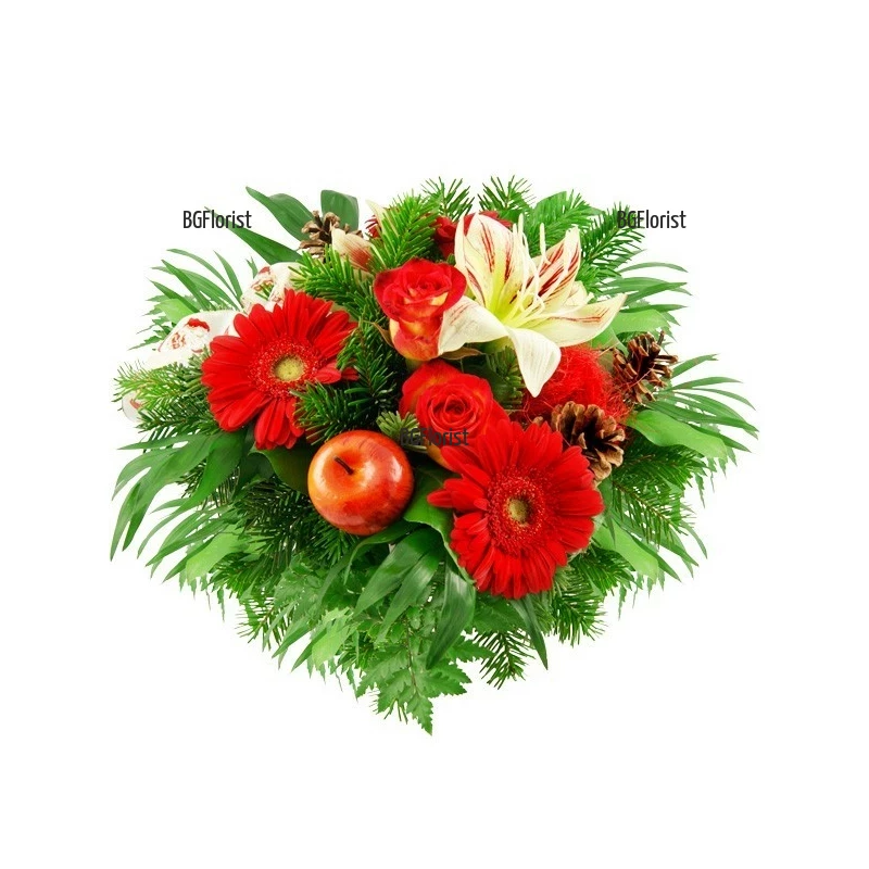 Send Christmas bouquet of gerberas and roses to Sofia