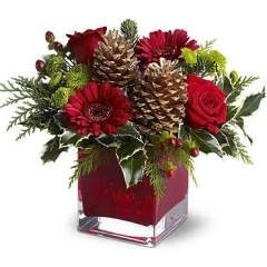 Christmas arrangement with pinecones