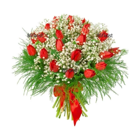 Send bouquet of tulips and gypsophila to Plovdiv