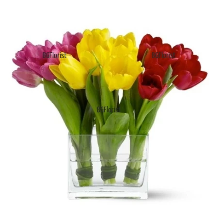Send arrangement with tulips in three colours to Sofia
