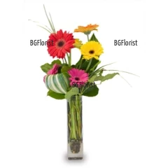 Exquisite, stylish arrangement with multicoloured gerberas and greenery.