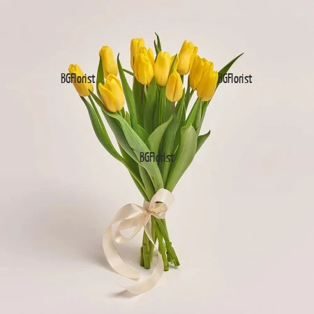 Send bouquet of yellow tulips by courier