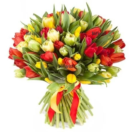 Send bouquet of 101 tulips to Burgas