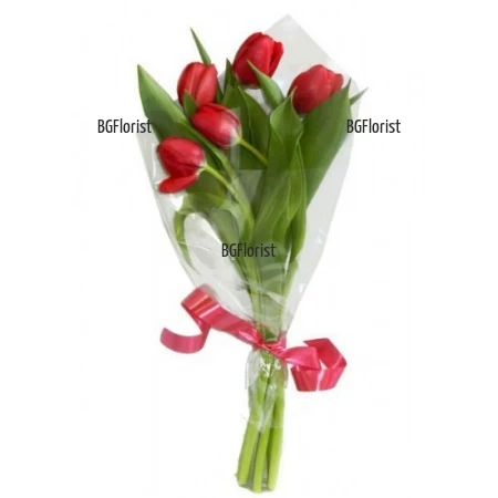 Send bouquet of 5 tulips to Plovdiv