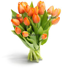 Bright bouquet of lurid orange tulips, tied with a ribbon.