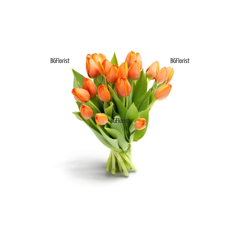 Send orange tulips by courier to Sofia
