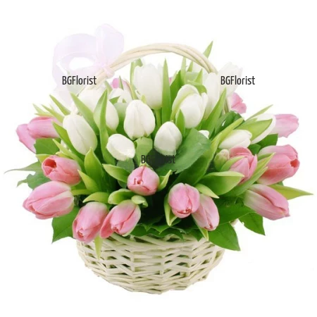 Send  a basket with tulips.