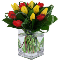 Stylish arrangement in glass cube with yellow and red tulips in combination with fresh greenery.
