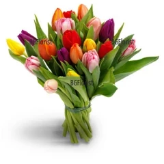 Vibrant bouquet of multicoloured tulips, tied with a ribbon.
