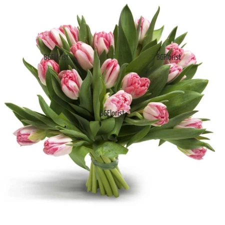 Send bouquet of pink tulips by courier to Plovdiv