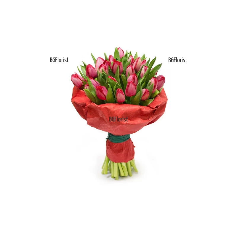 Order online bouquet of red tulips to Sofia