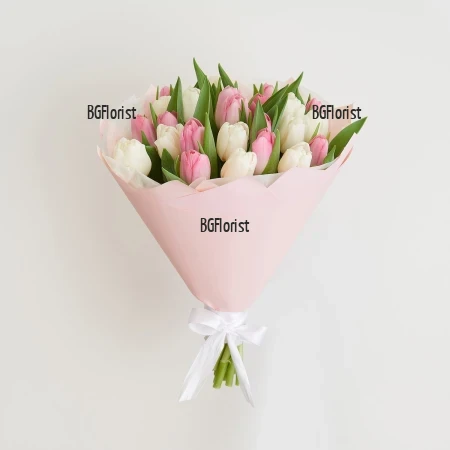 Send bouquet of pink and white tulips to Sofia.