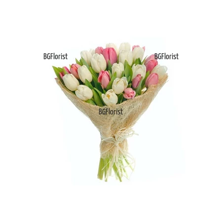 Send bouquet of pink and white tulips to Sofia.