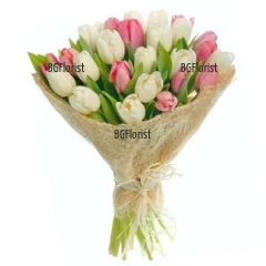 Gentle, attractive bouquet of white and pink tulips. Send this bouquet and make someone feel very special, give a smile to the recipient.