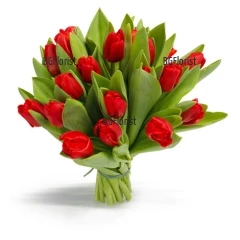 Beautiful bouquet of red tulips, tied with a ribbon.