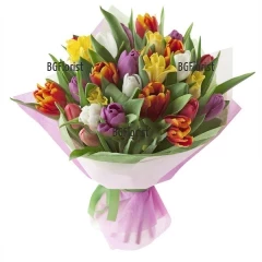 Colourful, vibrant bouquet of mixed tulips, wrapped in gift paper.