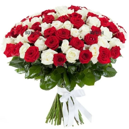 Доставка на 101 рози в два цвята - бели и червени в София