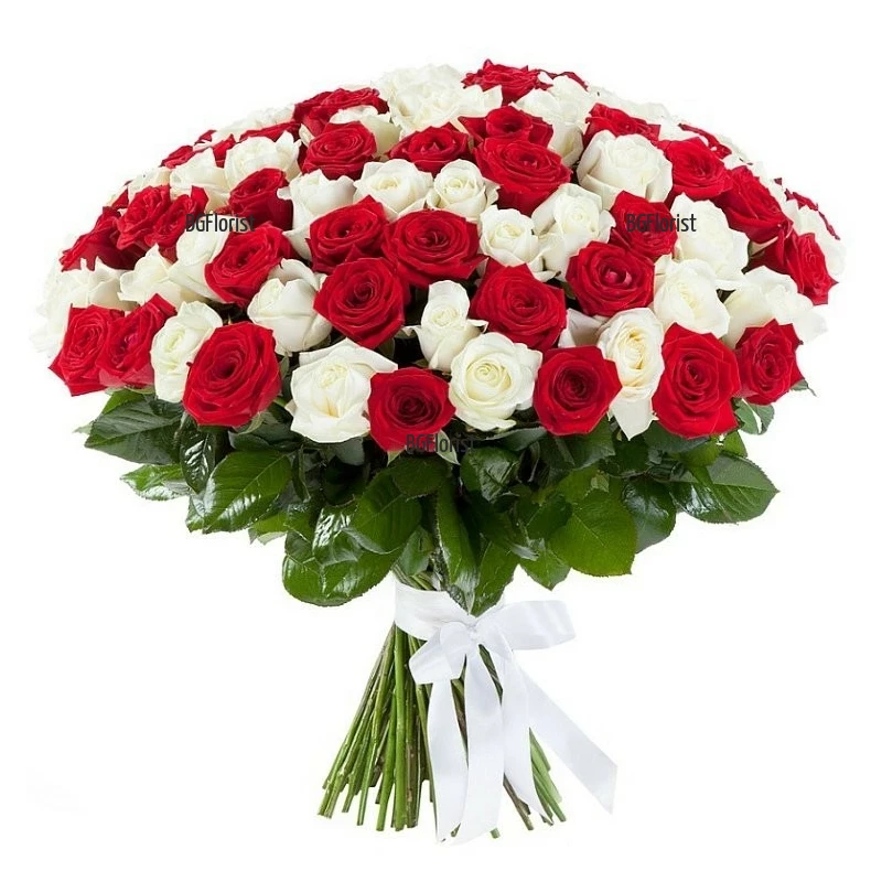 Bouquet of 101 white and red roses