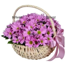 Доставка на красива кошница с розови хризантеми