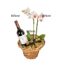 Орхидея и червено виноОригинален подаръчен комплект, включващ красива и нежна орхидея, бутилка вино Mezzek и кутия трюфели в луксозна опаковка.