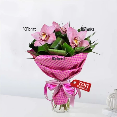 Order online bouquet of orchids to Sofia