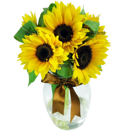 Send a bouquet - Sunny morning to Sofia