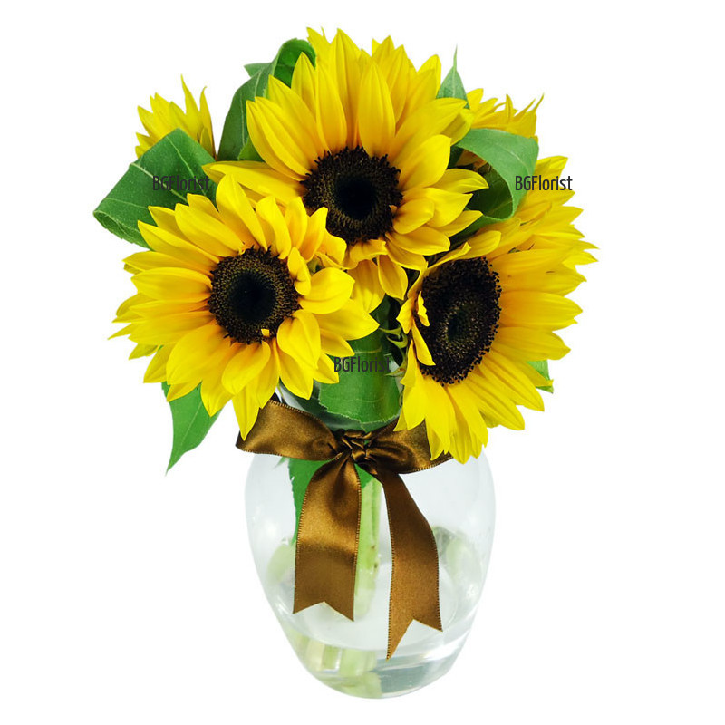Send a bouquet - Sunny morning to Sofia