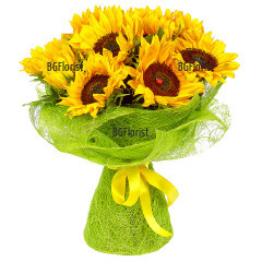 Beautiful, cheerful, fresh bouquet of 11 bright sunflowers, nice impressive wrapping and small ladybug as a decoration - perfect summer colourful gift