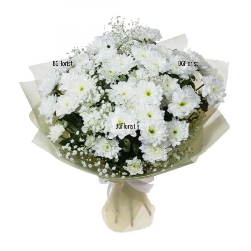 Send a bouquet of white chrysanthemums to Sofia.