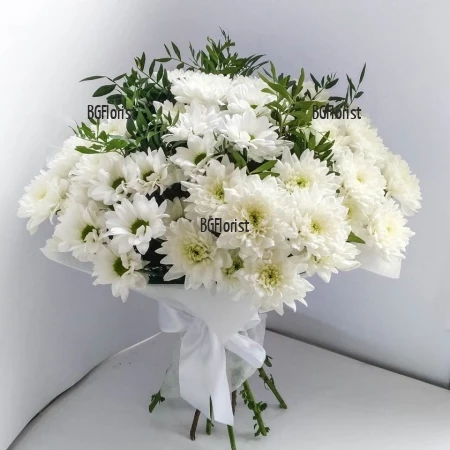 Send a bouquet of white chrysanthemums to Sofia.