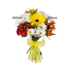 Send a bouquet of chrysanthemums and alstroemerias to Sofia.