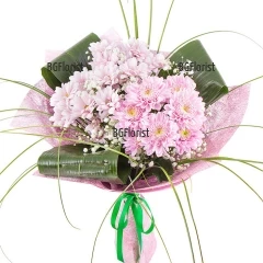 Lovely, charming bouquet of chrysanthemums in pink hues and  delicate white gypsophila, wrapped in fresh greenery and gift paper