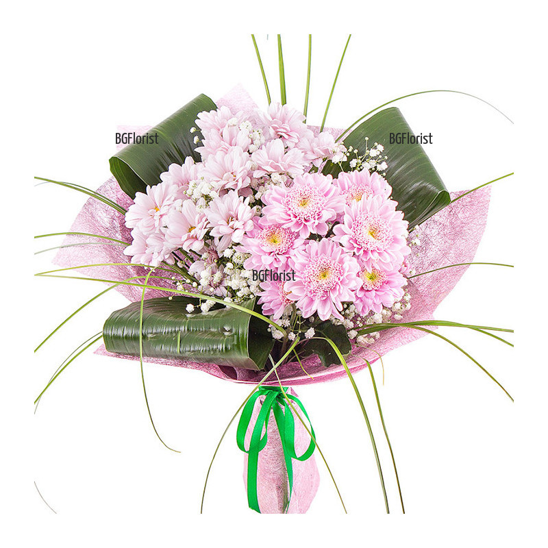 Tender bouquet of pink chrysanthemums