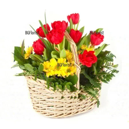 A basket with tulips and chrysanthemums